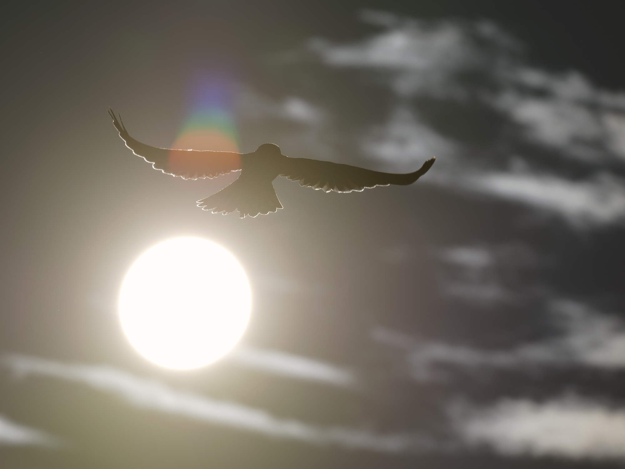 Sonnenanbeter
